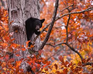 Image post by @nationalparkscollective on Instagram