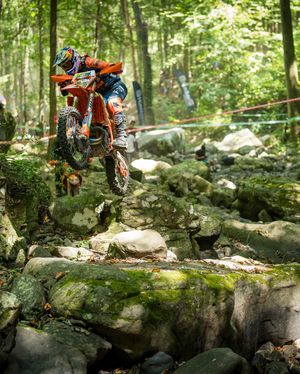 Image post by @redbullshop on Instagram