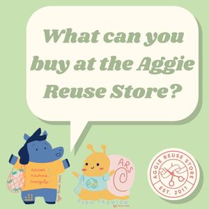 Image post by @aggiereusestore on Instagram