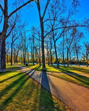 Image post by @cityofcalgary on Instagram