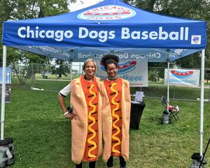 Image post by @thechicagodogs on Instagram
