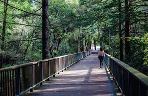 Image post by @ucsc on Instagram