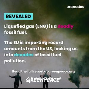 Image post by @greenpeace on Instagram
