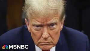 Video post by @msnbc on YouTube