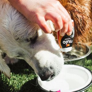 Image post by @nulopetfood on Instagram