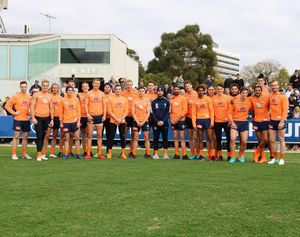 Image post by @carlton_fc on Instagram