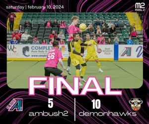 Image post by @stlouisambush on Instagram