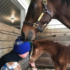 Image post by @thebloodhorse on Instagram