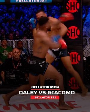 Image post by @bellatormma on Instagram