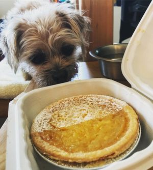 Image post by @amandakl on Instagram