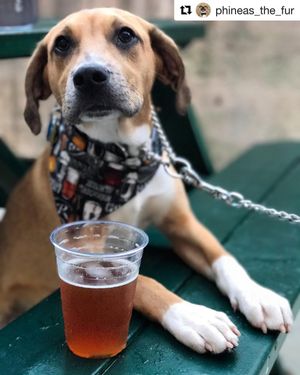 Image post by @navigationbrewingco on Instagram