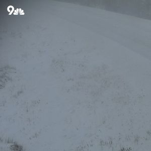 Image post by @9newsdenver on Instagram