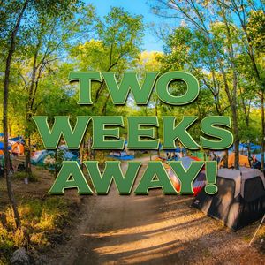 Image post by @dancefestopia on Instagram