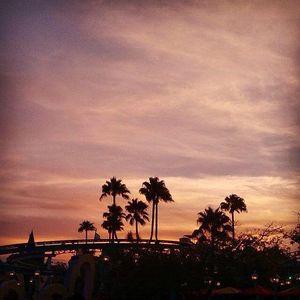 Image post by @universalorlando on Instagram