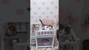 Video post by @newbuild_newlyweds on YouTube