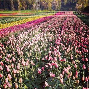 Image post by @tourismabbotsford on Instagram
