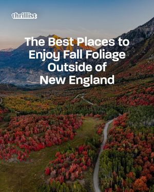 Image post by @thrillist on Instagram