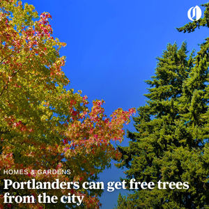 Image post by @theoregonian on Instagram