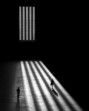 Image post by @fubiz on Instagram