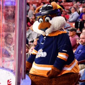 Image post by @swamprabbits on Instagram