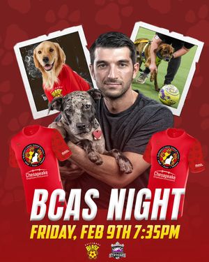 Image post by @baltimore_blast on Instagram