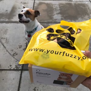 Image post by @yourfuzzy on Instagram