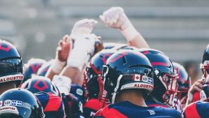 Image post by @mtlalouettes on Instagram