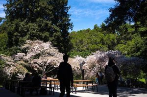Image post by @ucsc on Instagram