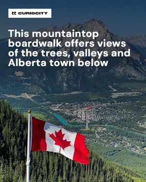 Image post by @curiocitycalgary on Instagram