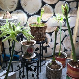 Image post by @kidsgardening on Instagram