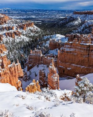 Image post by @nationalparkscollective on Instagram