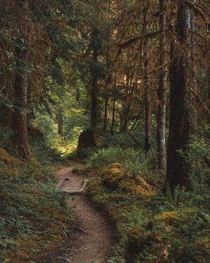 Image post by @nationalparkscollective on Instagram