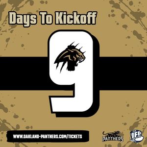 Image post by @panthersifl on Instagram