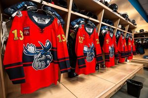Image post by @manitobamoose on Instagram