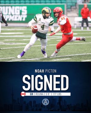 Image post by @torontoargos on Instagram