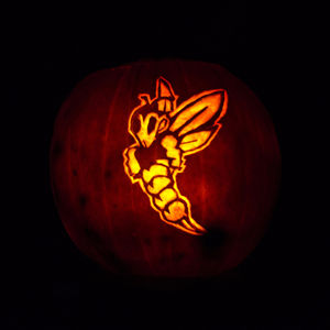Image post by @uw_superior on Instagram