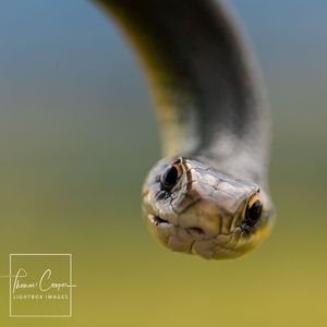 Image post by @lightboximages on Instagram