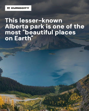 Image post by @curiocitycalgary on Instagram