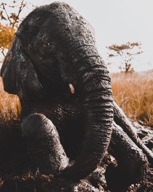 Image post by @discovery on Instagram
