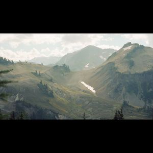 Image post by @lostfoxcreative on Instagram