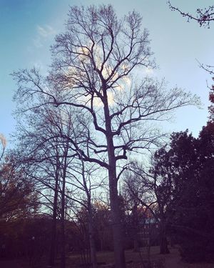 Image post by @vanderbiltu on Instagram
