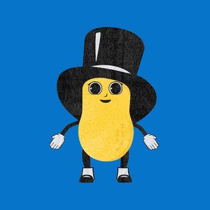 Image post by @mrpeanutofficial on Instagram