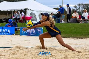 Image post by @avcavolleyball on Instagram