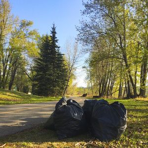 Image post by @cityofcalgary on Instagram