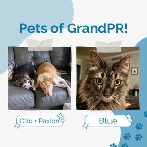 Image post by @grand_pr on Instagram