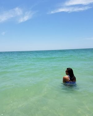 Image post by @visitsarasotacounty on Instagram