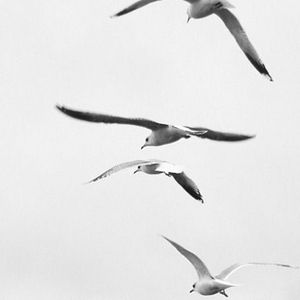 Image post by @maxzaharenkov on Instagram
