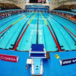 Image post by @arenausa on Instagram