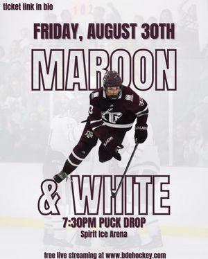 Image post by @tamuicehockey on Instagram