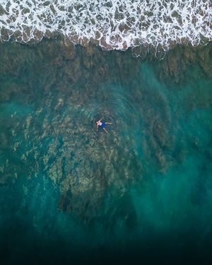 Image post by @serfermedia on Instagram
